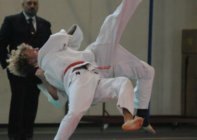 judo